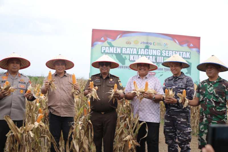 Panen Raya Jagung di Asahan, Polres dan Forkopimda Dorong Swasembada Pangan