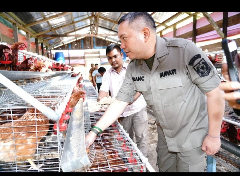 Bupati Pakpak Bharat Meninjau Peternak Ayam Petelur Di Desa Binanga Boang