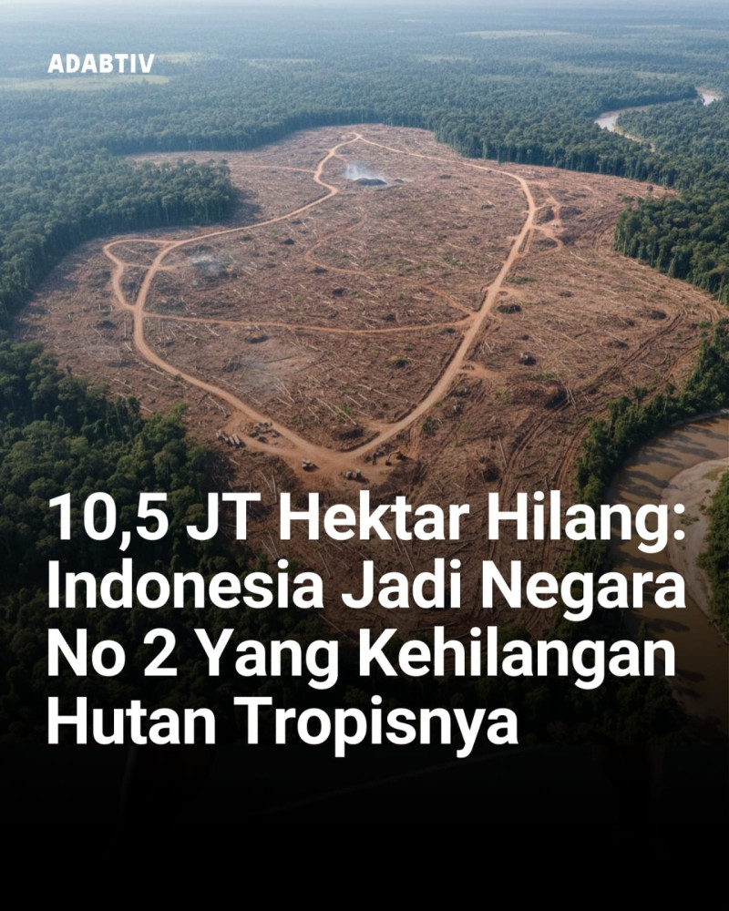 WALHI Sumut Ungkap Tujuh Perusahaan Diduga Jadi Pemicu Bencana Ekologis Tapanuli