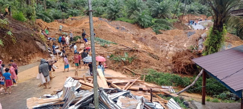 WALHI Soroti Pembukaan Hutan Batang Toru, Bupati Tapsel Ingatkan Dampak Bencana