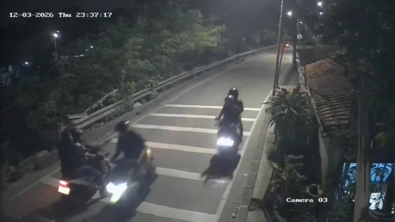 Teguh Santosa: Teror terhadap Aktivis HAM Ancaman Serius bagi Demokrasi