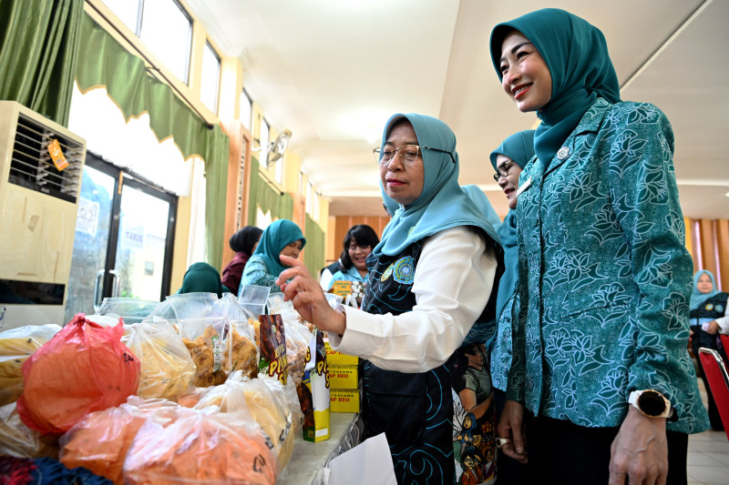 Dukung Tertib Administrasi dan Data, TP-PKK Sumut Kembangkan Aplikasi SIPANDA