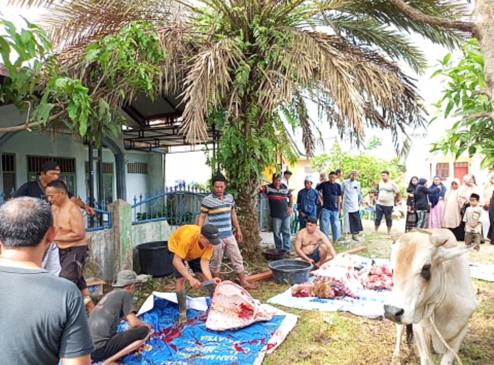 STM Masjid Istiqomah Laksanakan Qurban, Sembelih 5 Ekor Lembu dan 3 Ekor Kambing