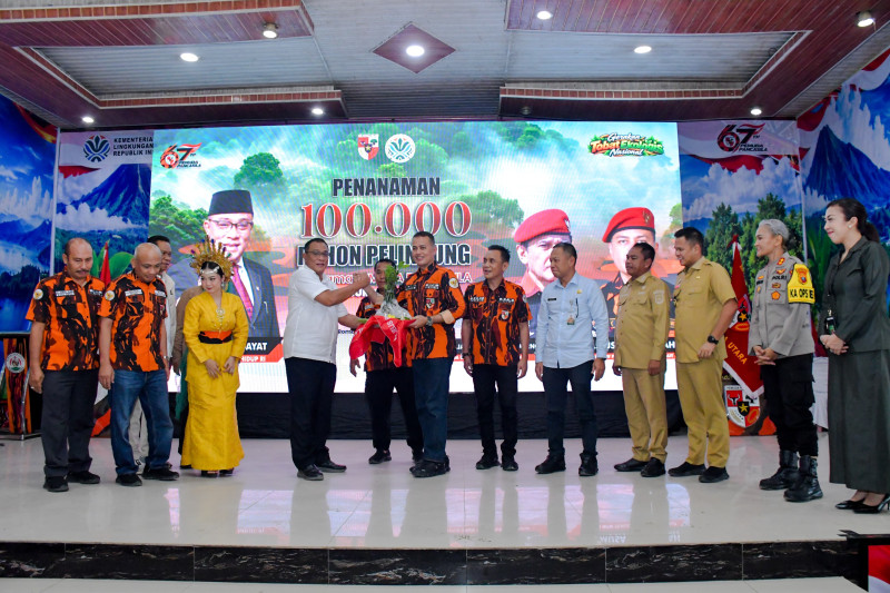 Pemuda Pancasila Tanam 100.000 Pohon di Sumut, Dukung Gerakan Tobat Ekologis Nasional